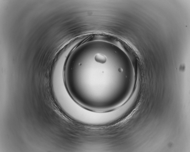 X0000099500969200805221357