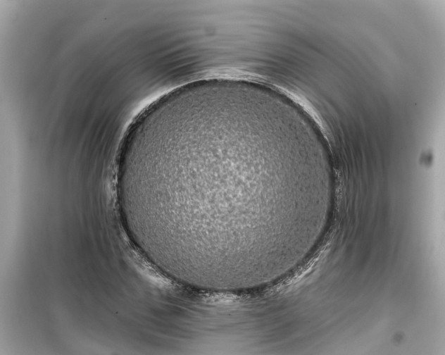 X0000099500971200805221357