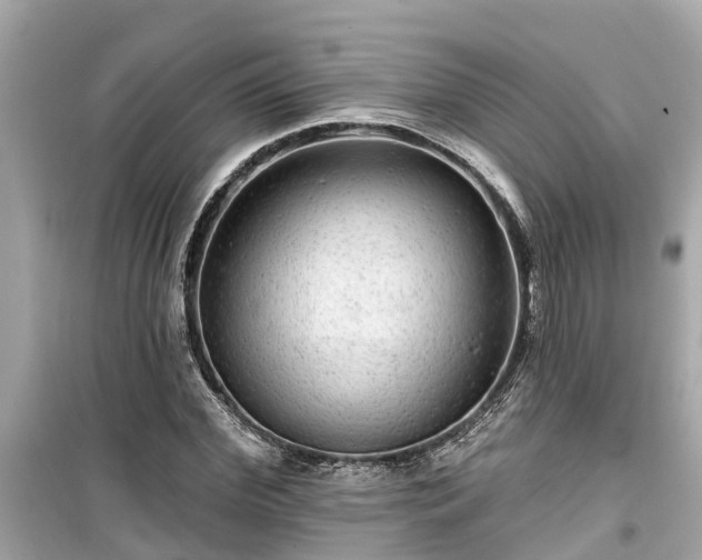 X0000099500972200805221357