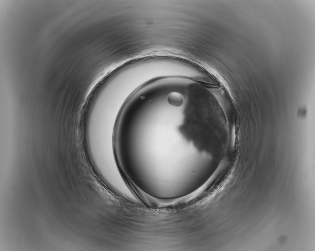 X0000099500973200805221357