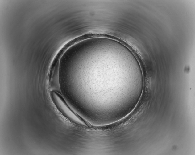 X0000099500976200805221357