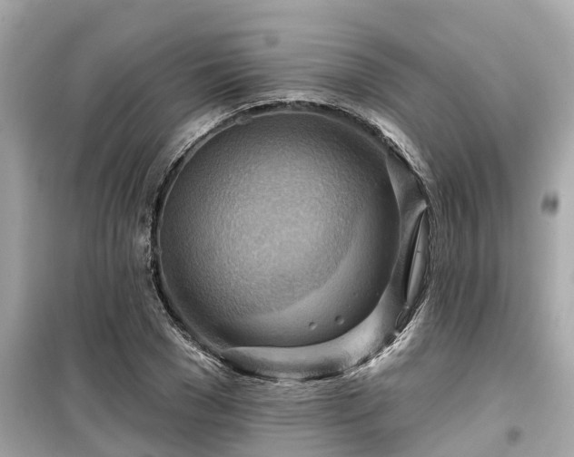 X0000099500977200805221357