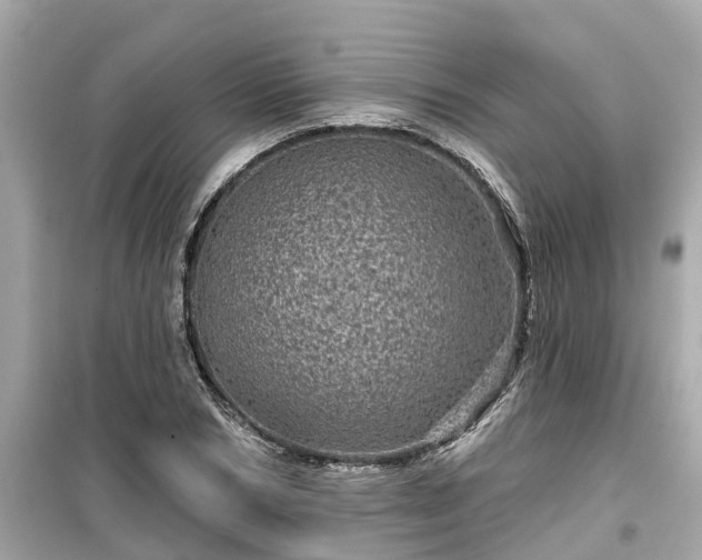 X0000099500978200805221357