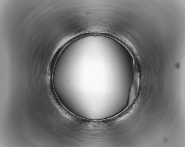 X0000099500981200805221357
