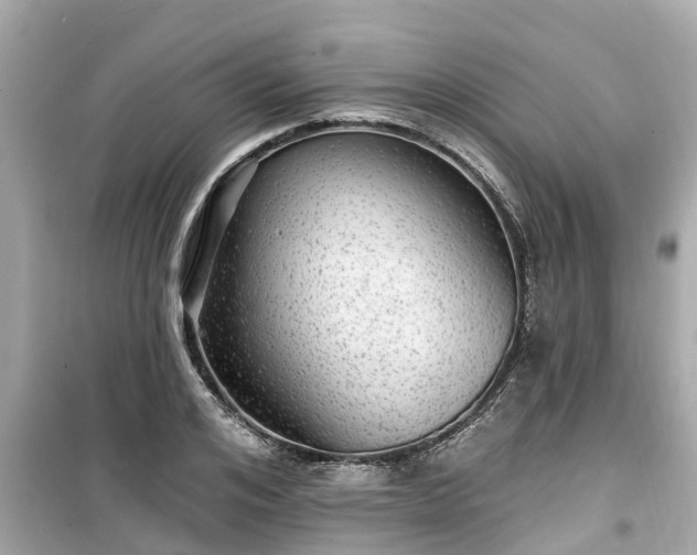X0000099500984200805221357