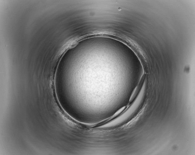 X0000099500985200805221357