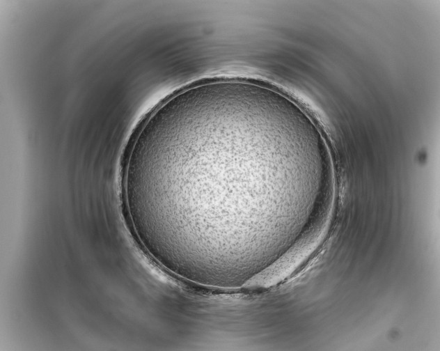 X0000099500990200805221356