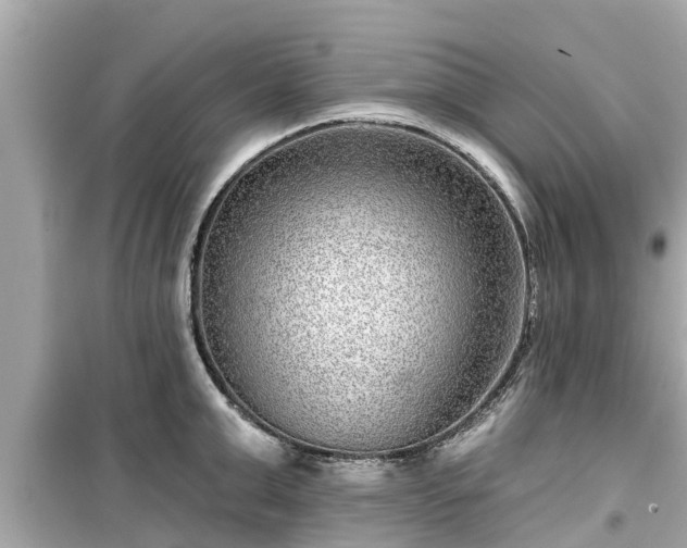 X0000099500999200805221356