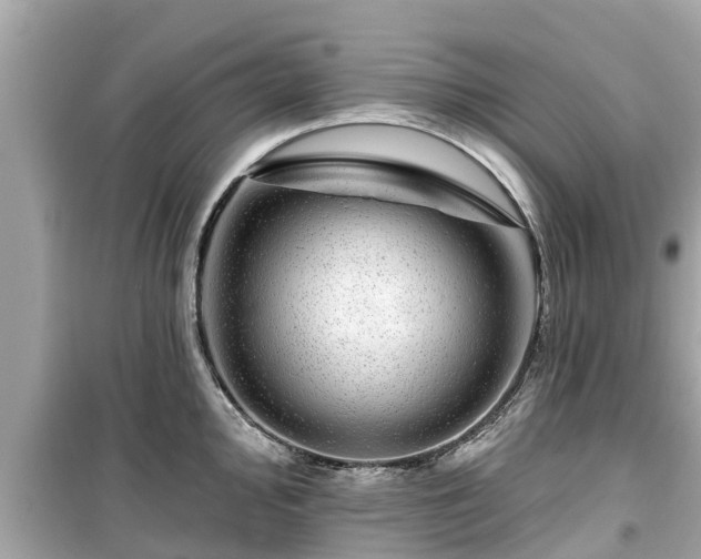 X0000099501000200805221356