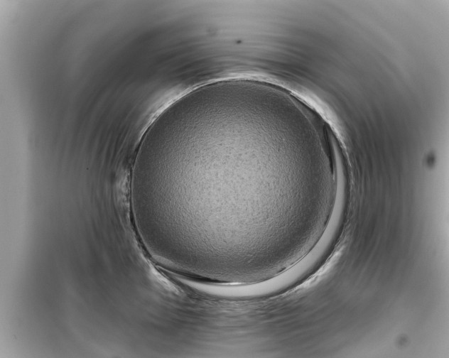 X0000099501001200805221356