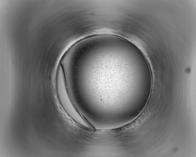 X0000099501008200805221356