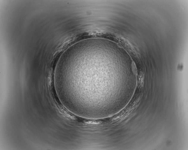 X0000099501012200805221356