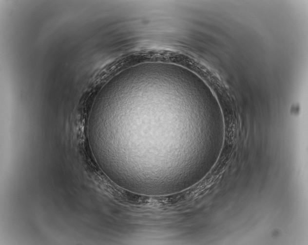 X0000099501013200805221356