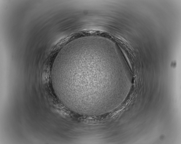 X0000099501014200805221356