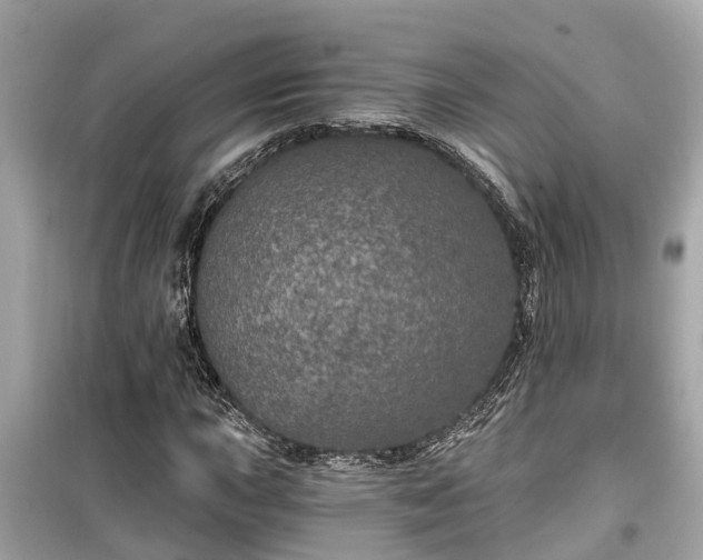 X0000099501015200805221356