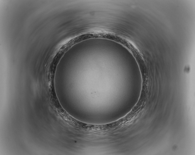 X0000099501016200805221356