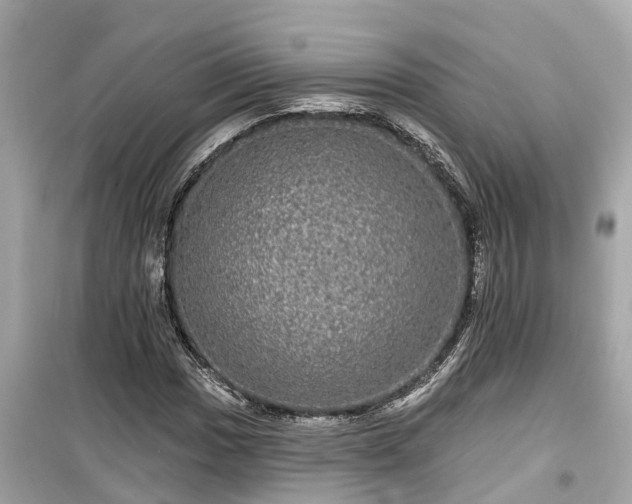 X0000099501017200805221356