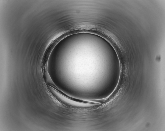 X0000099501018200805221356