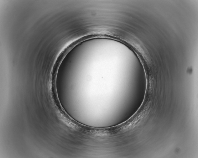 X0000099501020200805221356