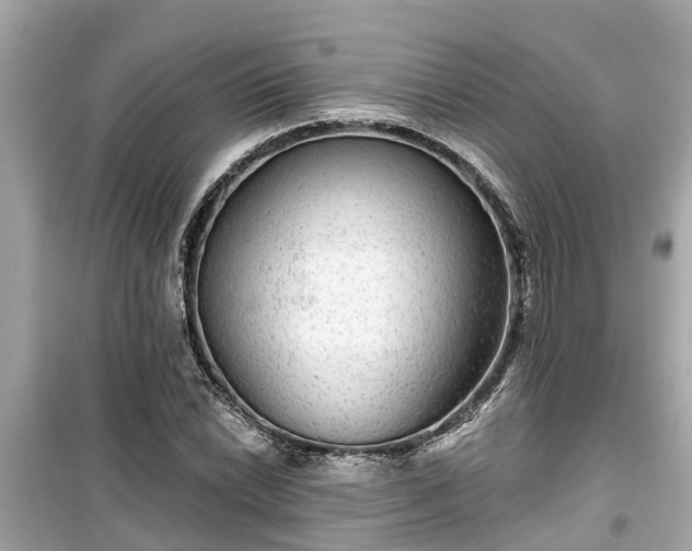 X0000099501022200805221356
