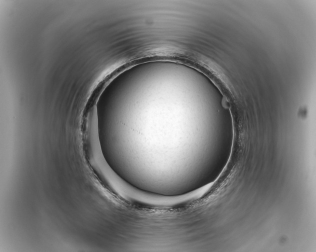 X0000099501026200805221356