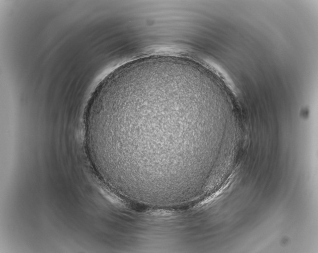X0000099501027200805221356