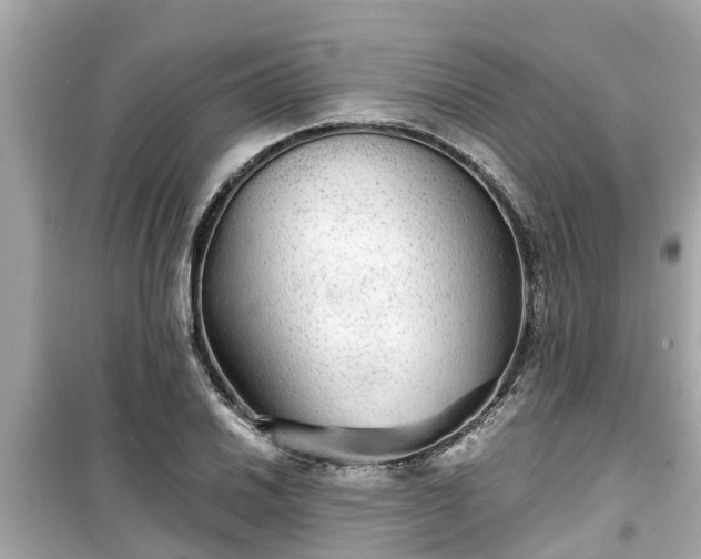 X0000099501030200805221356