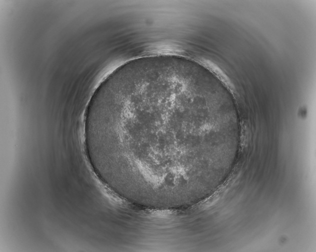 X0000099501031200805221356