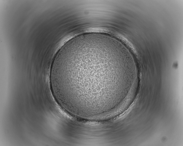 X0000099501033200805221356
