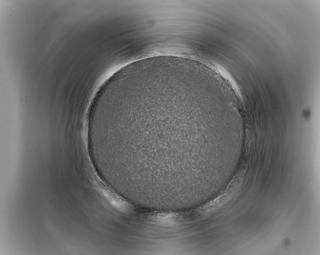 X0000099501035200805221356