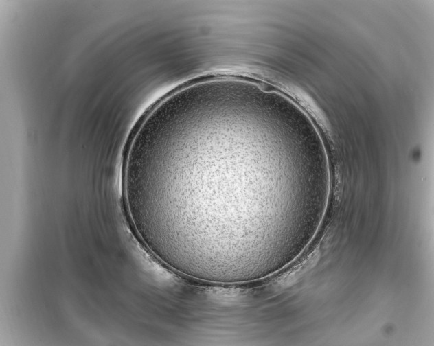 X0000099501036200805221356