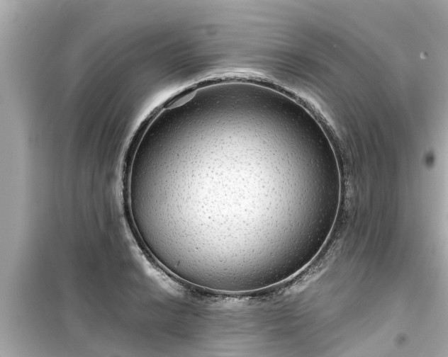 X0000099501038200805221356