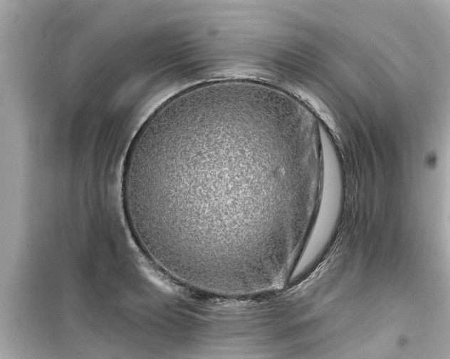X0000099501039200805221356