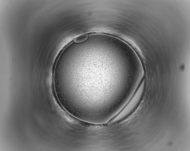 X0000099501040200805221356
