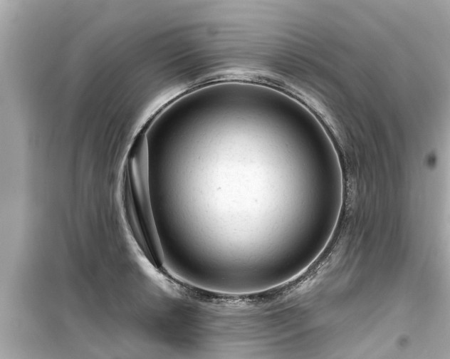 X0000099501042200805221356