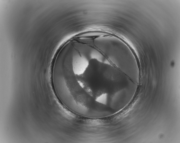 X0000099501045200805221356