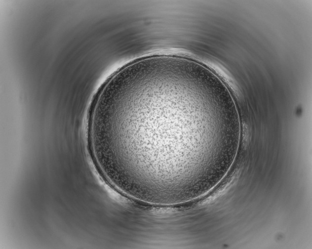 X0000099501046200805221356