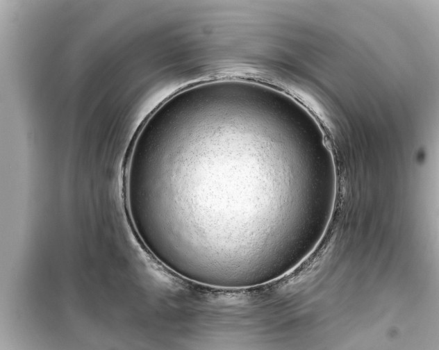 X0000099501047200805221356