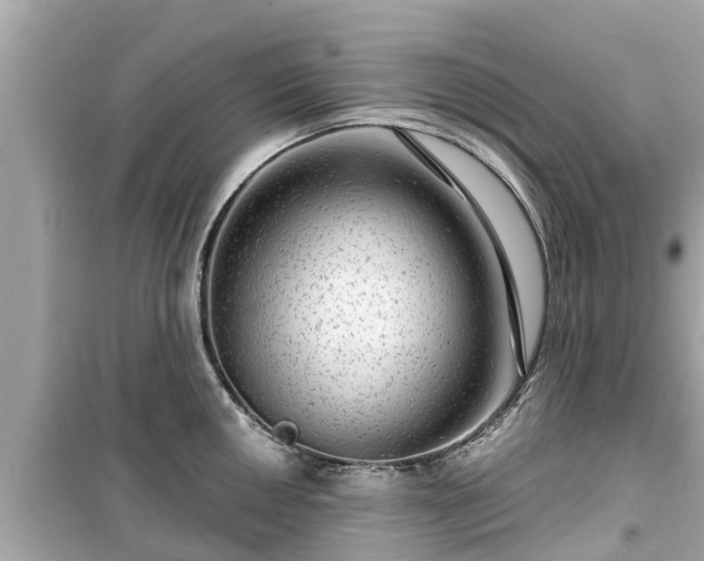 X0000099501050200805221356