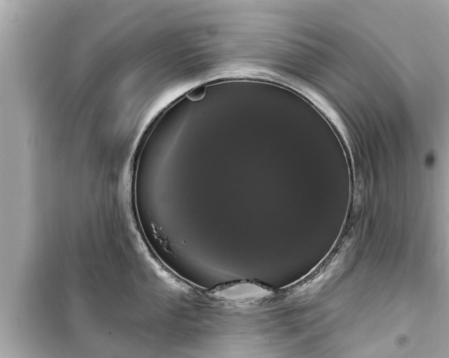 X0000099501053200805221356