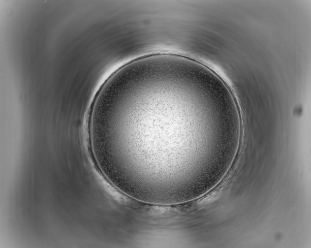 X0000099501056200805221356