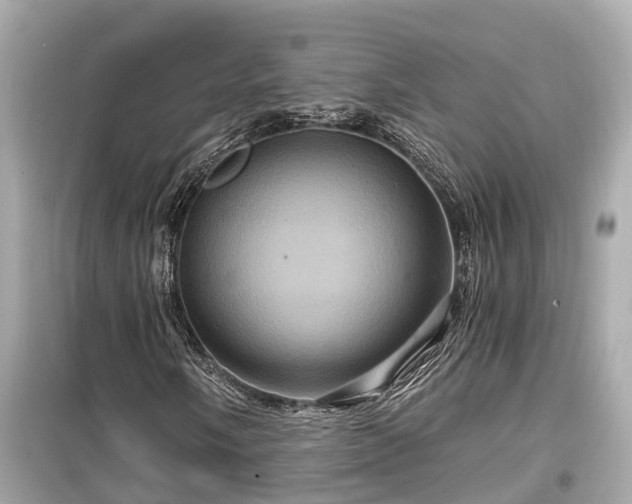 X0000099501058200805221356