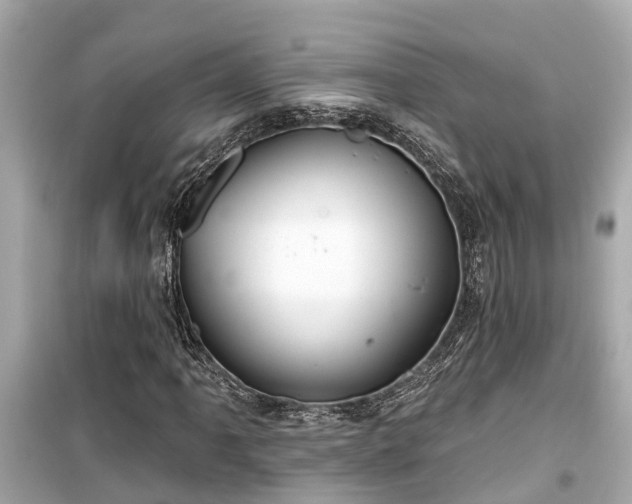 X0000099501061200805221356