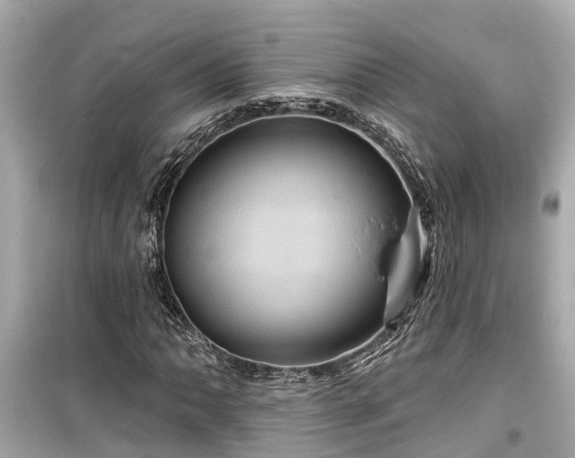 X0000099501062200805221356