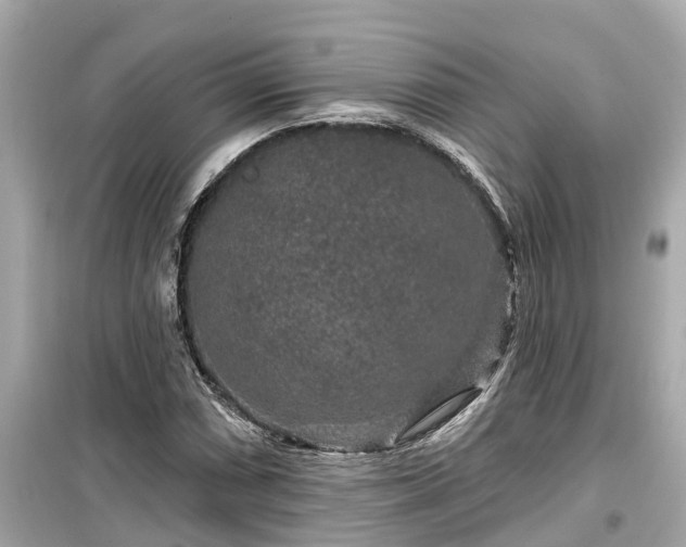 X0000099501066200805221356