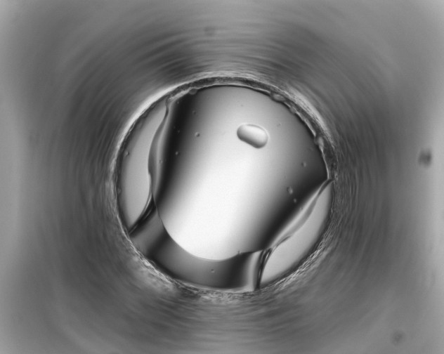 X0000099501068200805221356