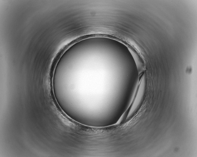 X0000099501072200805221355