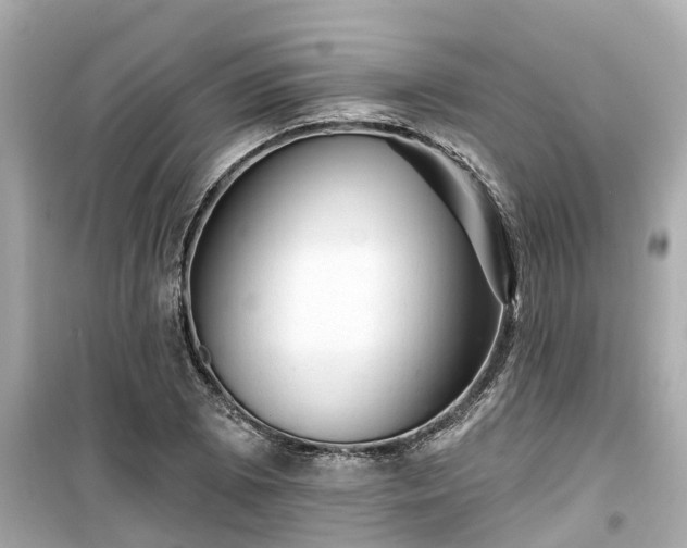 X0000099501073200805221355