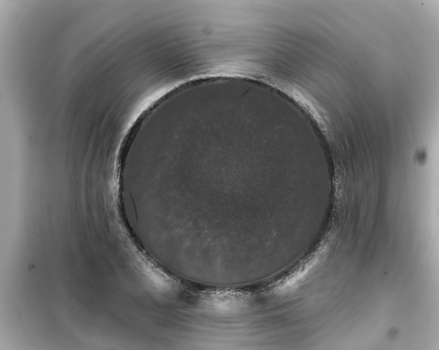 X0000099501077200805221355