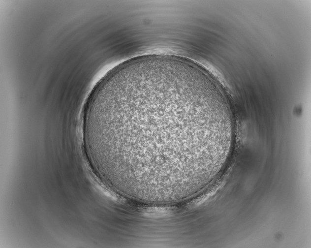 X0000099501078200805221355